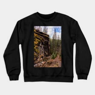 Sundance Crewneck Sweatshirt